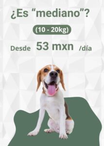 Alimento Natural y Personalizado para Perros