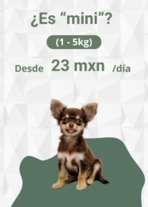 Alimento Natural y Personalizado para Perros