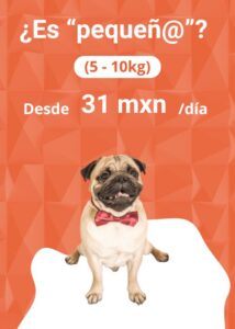 Alimento Natural y Personalizado para Perros