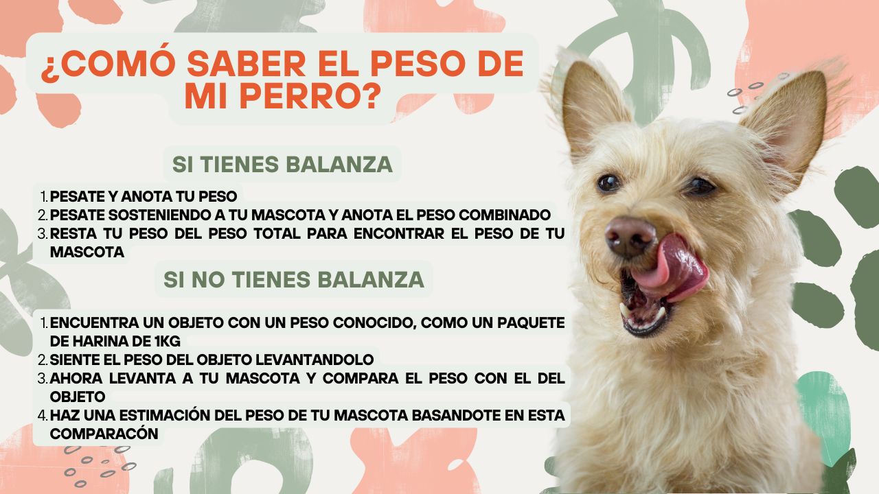 Ilustración de pesos de mascotas