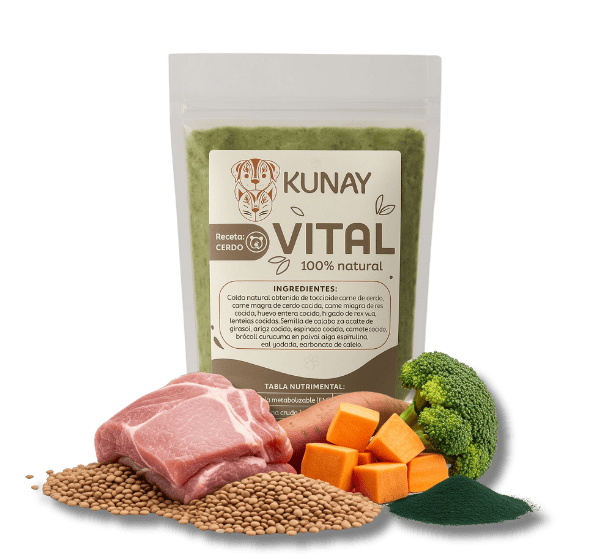 COMIDA-KUNAY-VITAL-PNG
