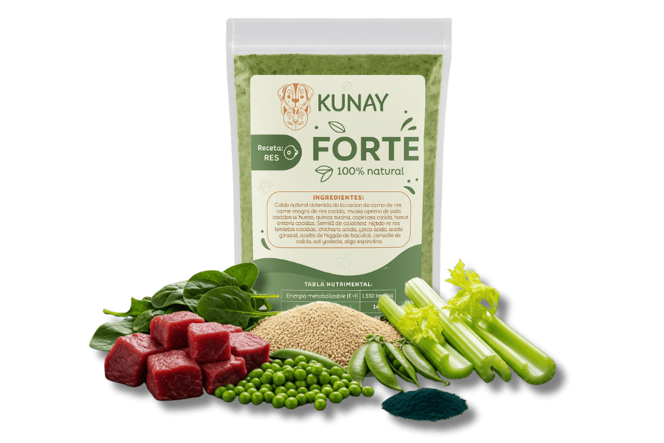 Kunay-Forte-P